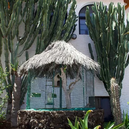 Miramar Boutique Adults Only Apartamento Corralejo