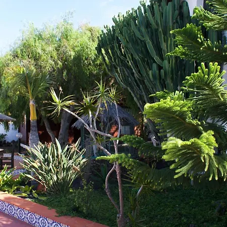 Miramar Boutique Adults Only *